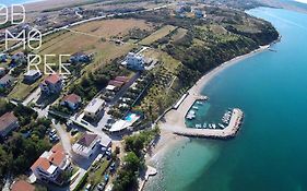 Odmoree Camp&Hostel